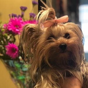 Meet your Posher, Sonia